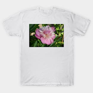 Large pink Peony flower T-Shirt